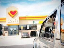 New Love’s locations open this week in Texas & Florida