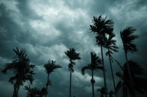 Hurricane Ian likely to be the costliest since 1992