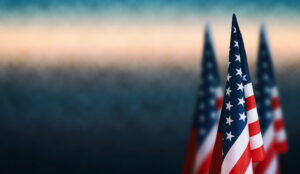 Are you a veteran with a CDL now?