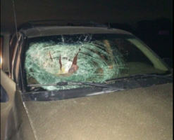 Indiana State Police issue warning to drivers after pumpkins were thrown off overpass at vehicles