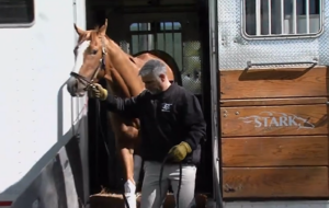 Here’s how race horses get trucked to the Kentucky Derby