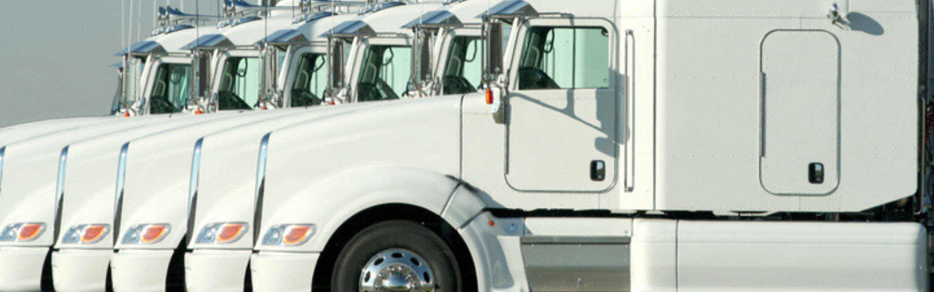 line of parked semi truck tractors