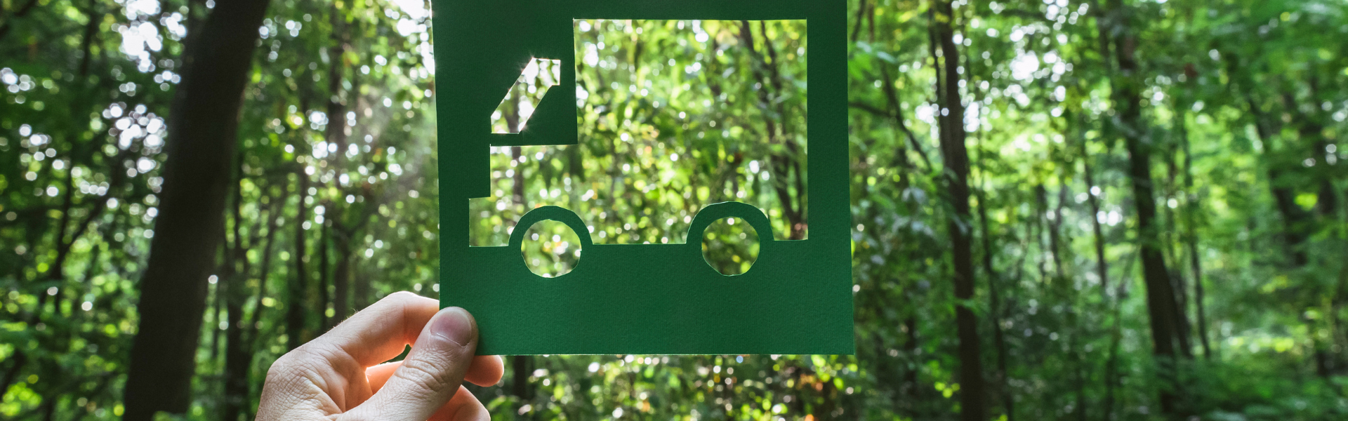 cutout of truck held up to the forest