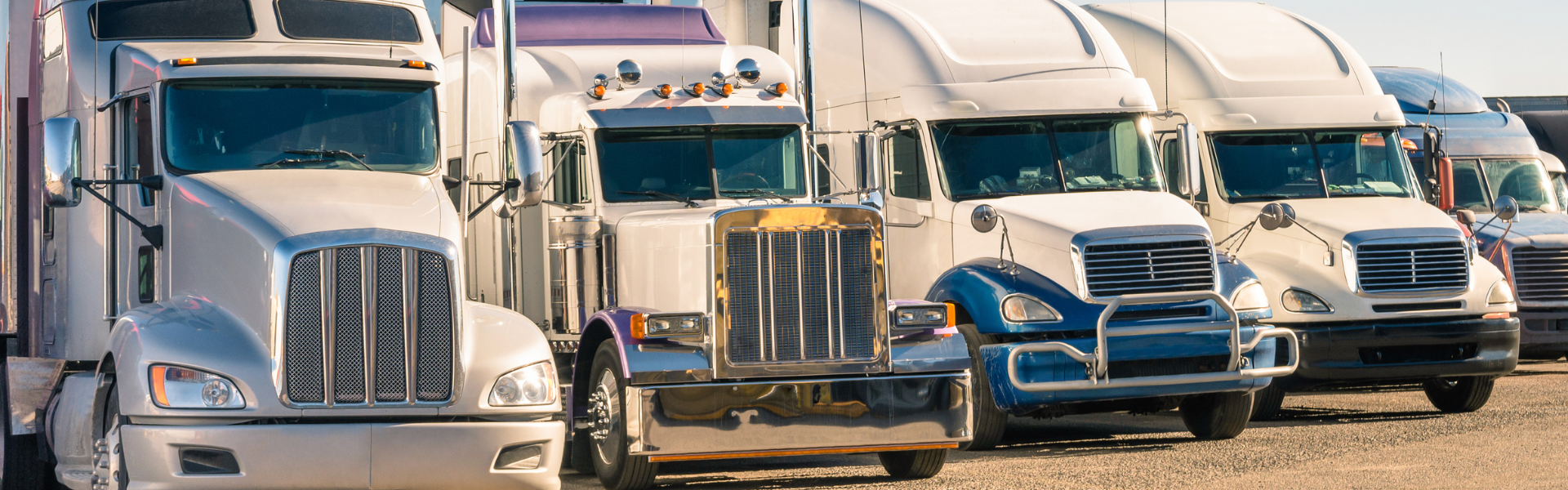 line of semi trucks