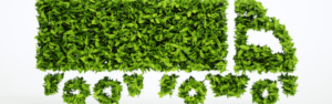 Developing a Sustainable and Environmentally Conscious Trucking Lifestyle