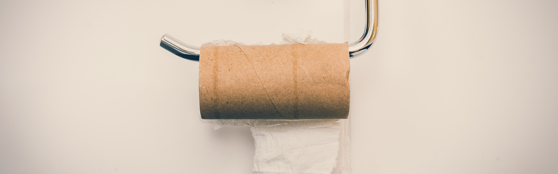Empty toilet paper roll