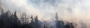 Truck Driver Helping Combat Wildfires and Support Rural Communities