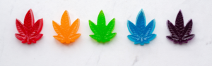 CBD Gummies: A Workplace Risk for Drivers