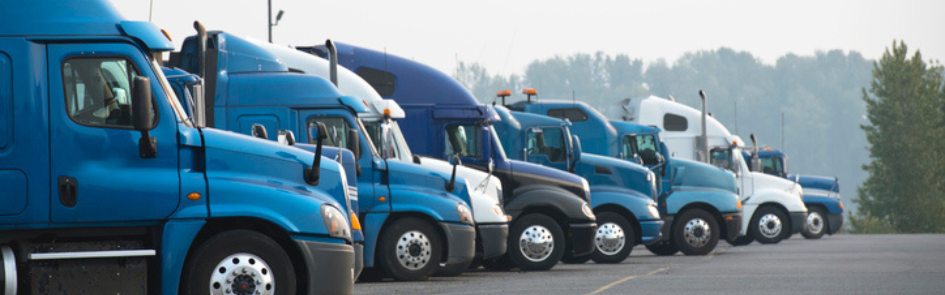 line of semi trucks parked