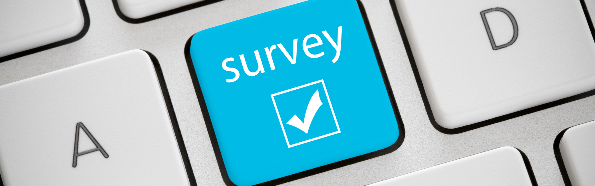 survey key on computer keyboard