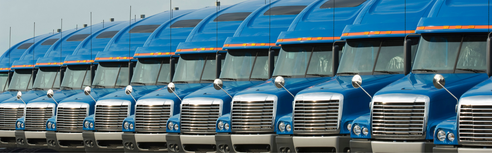 Line of parked blue semi trucks