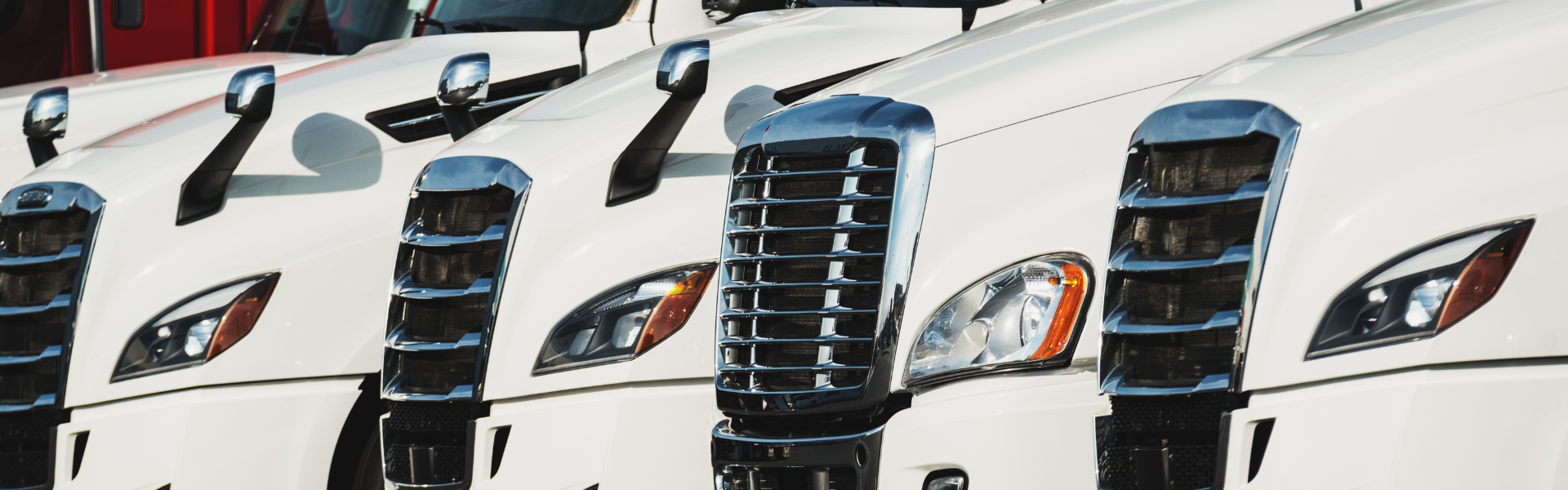 line of new white semi trucks parked
