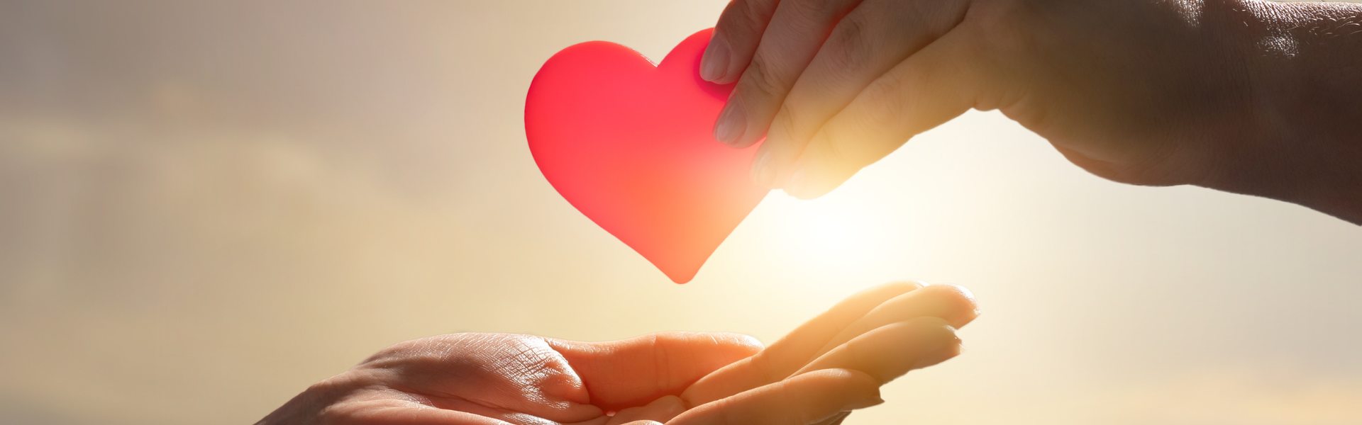 hands passing heart in sunshine