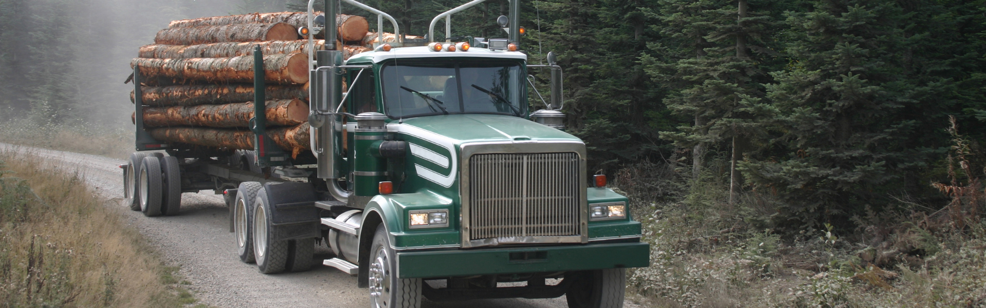 logging truck on road