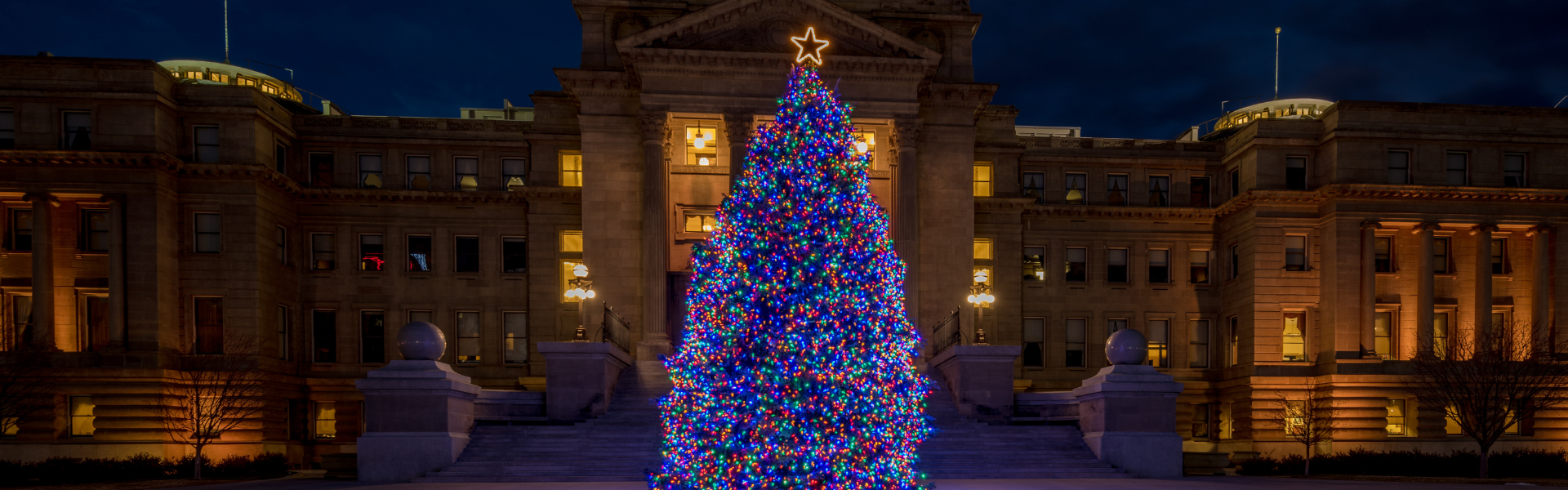 capitol christmas tree