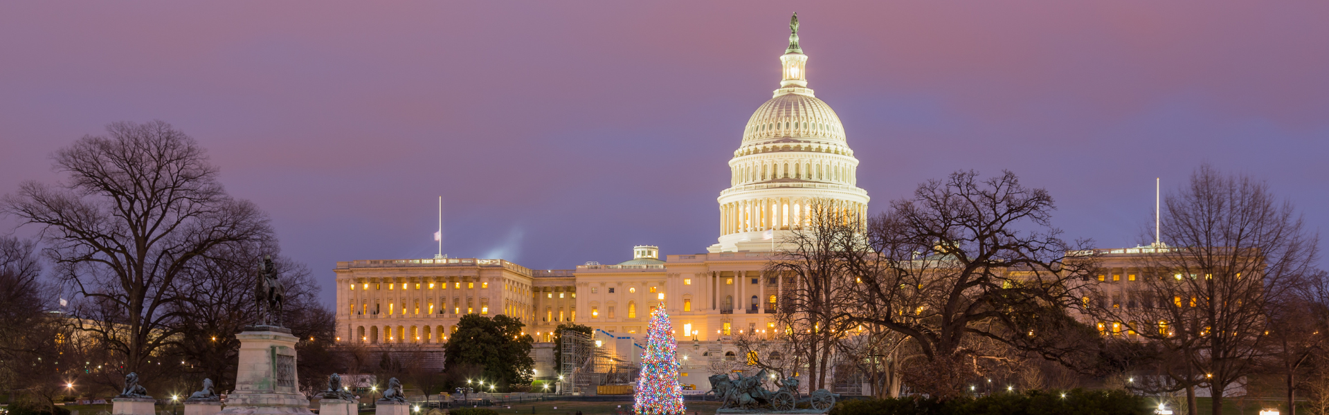 capitol christmas tree