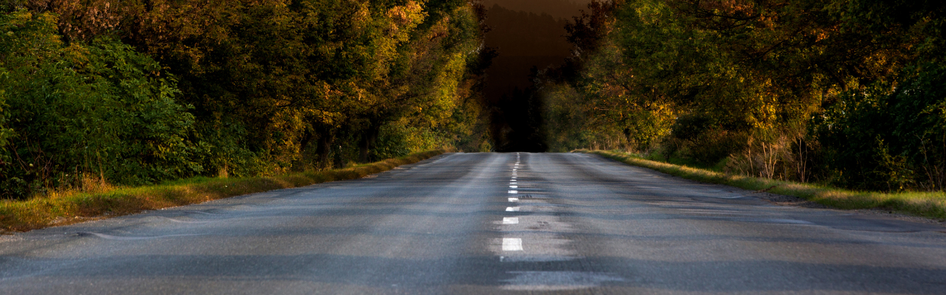 tree lined highway