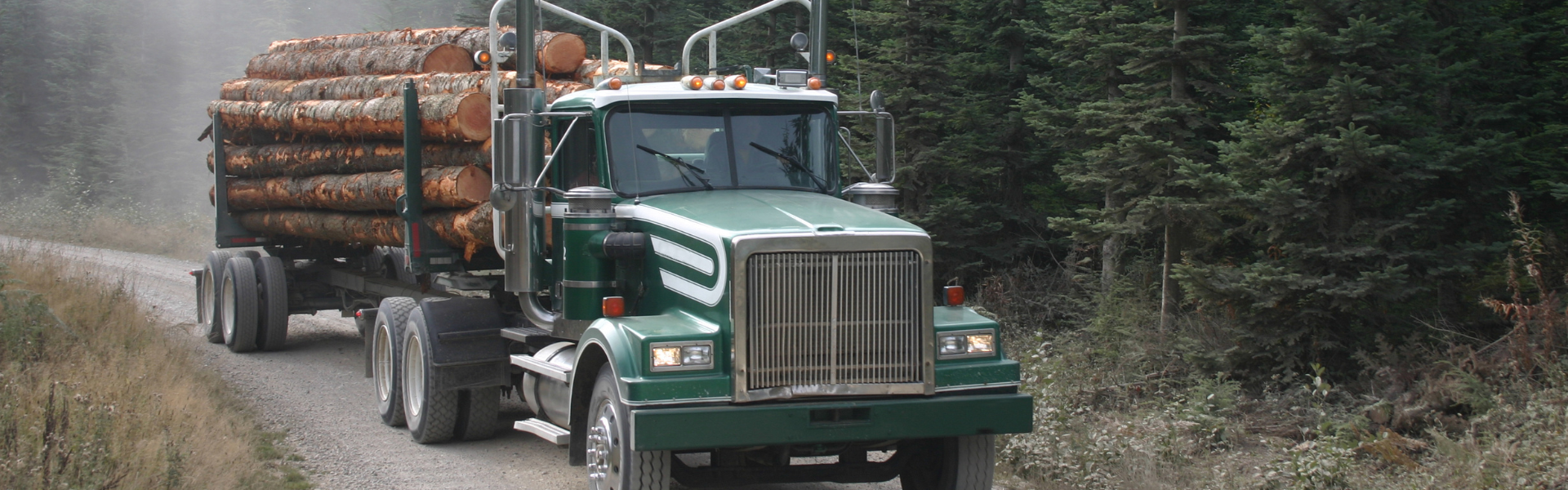 logging truck on road