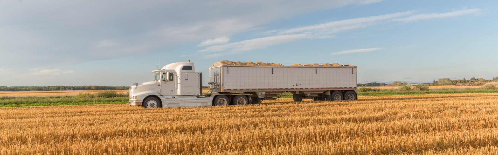 semi truck parked near field