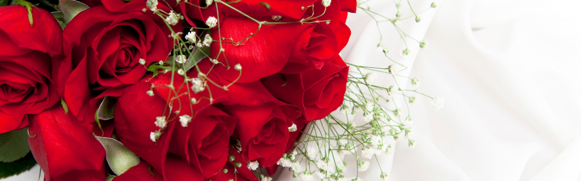 red roses with baby's breath