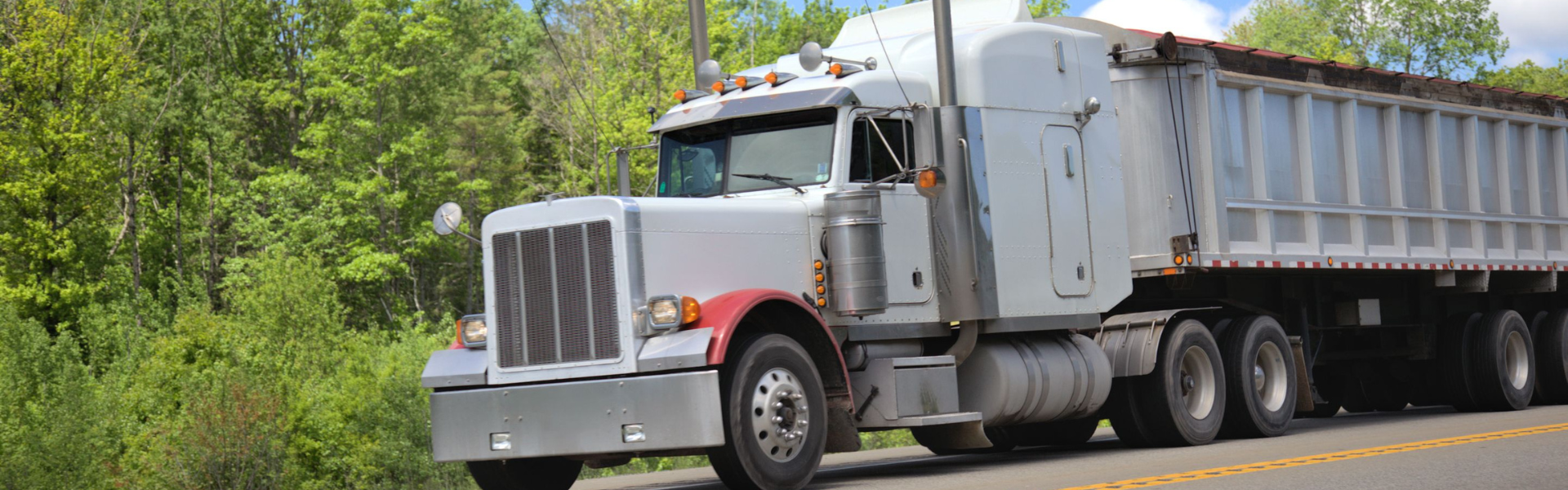 semi truck on road surrounded by green trees