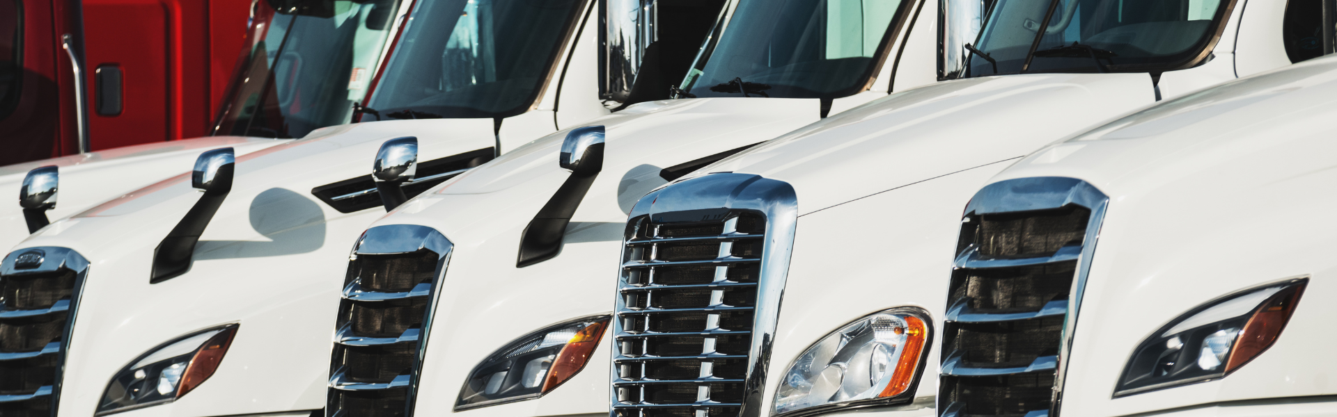 new white semi trucks parked in a line