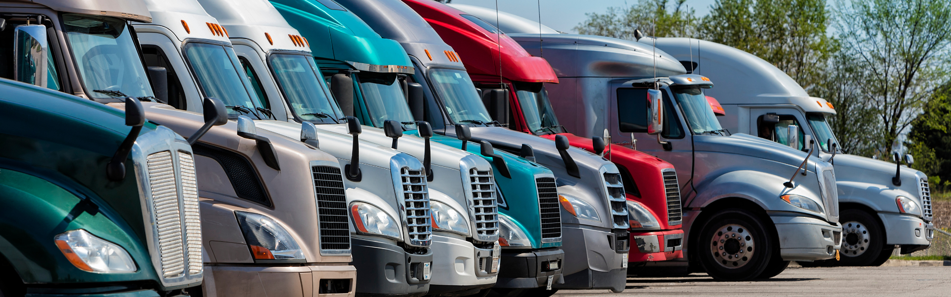 line of parked semi trucks of varying kind and color