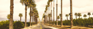 Top 5 States with Thriving Opportunities for Truck Drivers