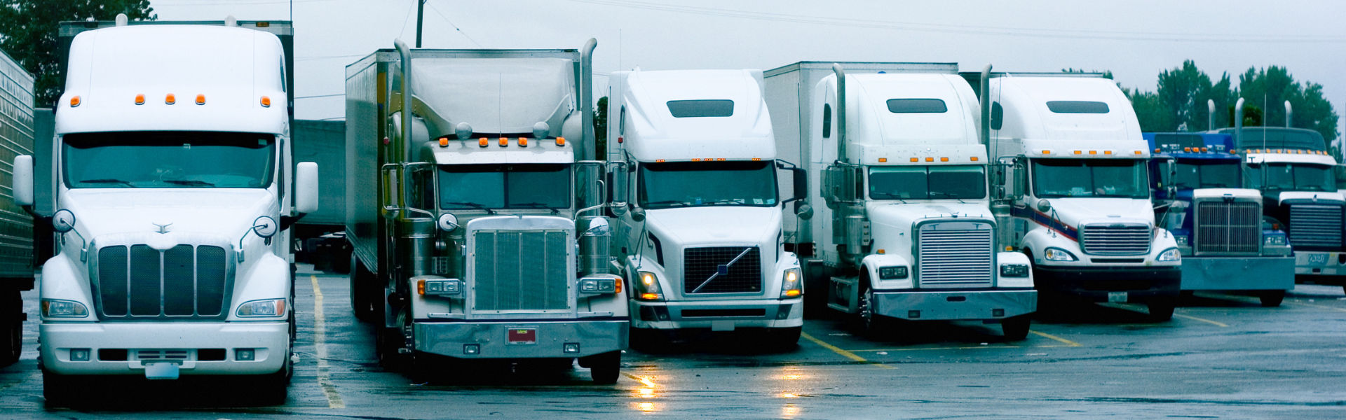 a variety of semi trucks parked in a row