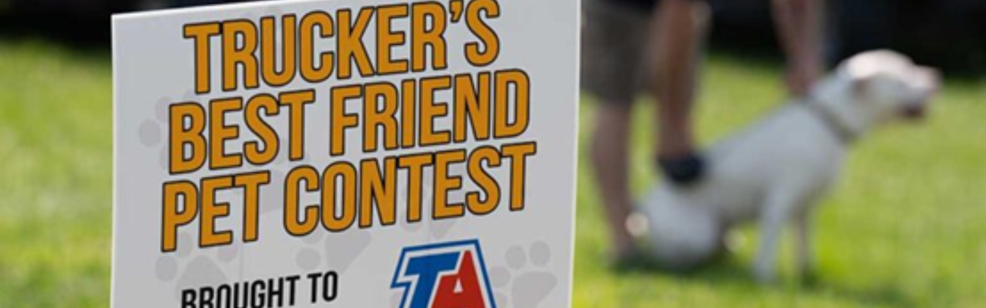grassy area with sign the reads "trucker's best friend pet contest" and a man with a white dog in the background