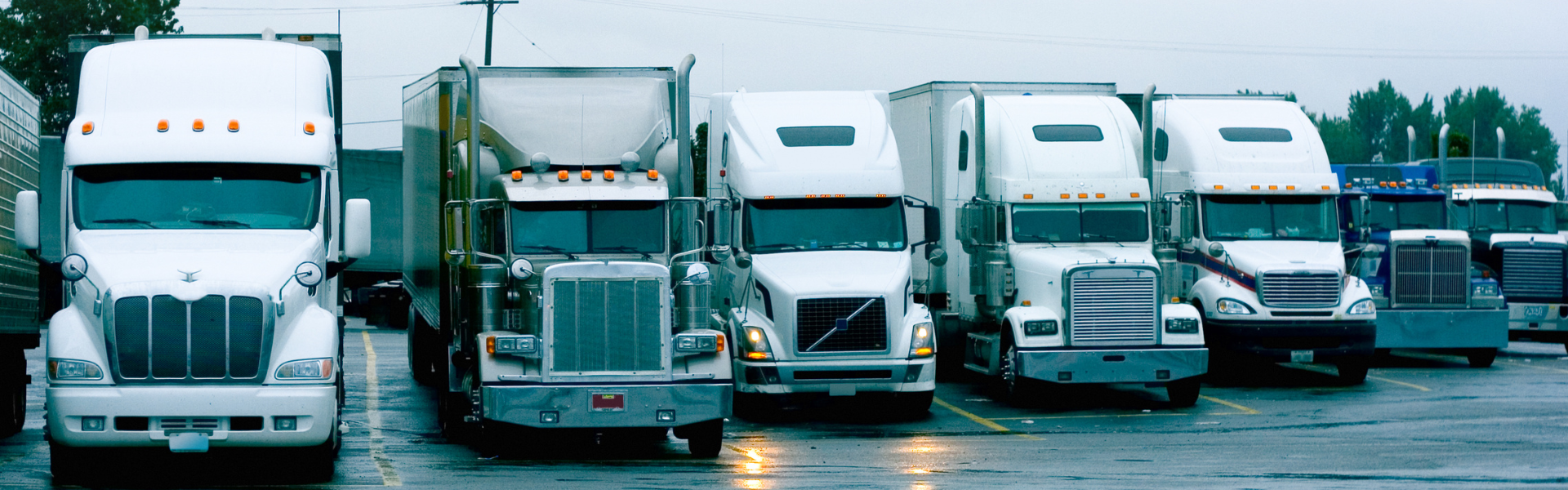 variety of semi trucks parked in a row in a parking lot on a rainy day