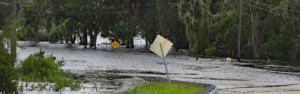 Emergency Declarations in Three States as Hurricane Debby Hits