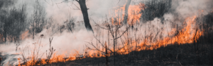 Washington State Faces Fire Emergency: Fuel Supply Critical