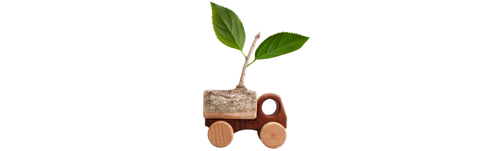 Wooden semi truck toy with green leafy plant growing out of truck bed