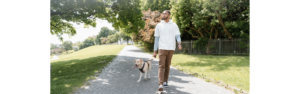 man walking yellow lab dog in park