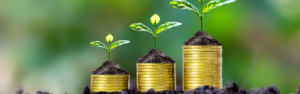 coins growing from the earther with plants coming out of the top of each increasingly large stack