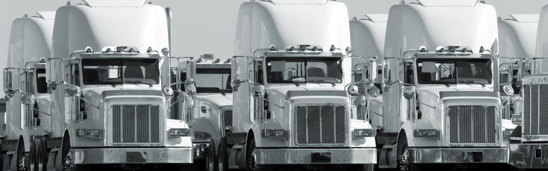 black and white photo of several semi trucks that are mostly the same make and model parked together in a group or fleet