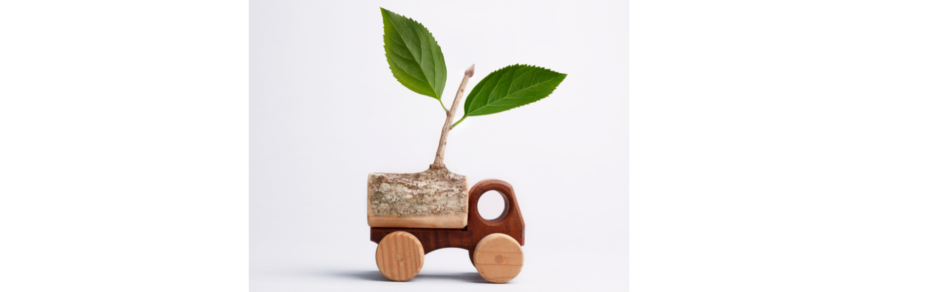 toy wooden eco truck with plant growing from trailer, California's Clean Truck Partnership is gaining traction as the California Air Resources Board (CARB) collaborates with major truck manufacturers to drive zero-emission vehicle development.