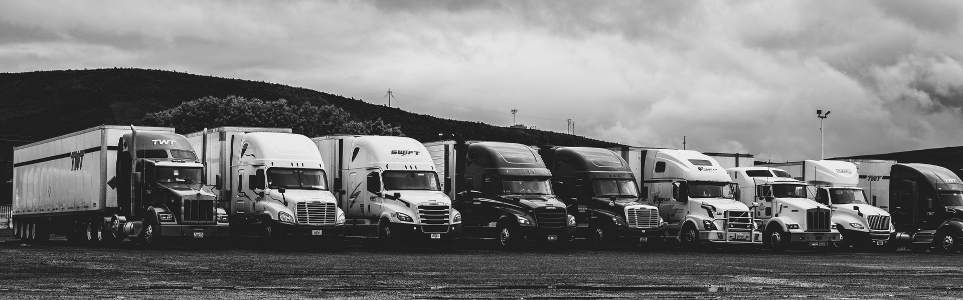 Semi trucks lined up and parked.