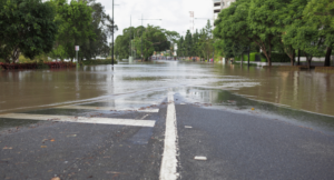 Brave Truck Driver Rescues Florida Couple During Hurricane Milton