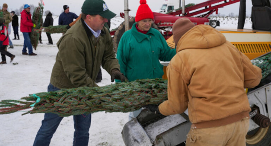 Discover how Wahmhoff Farms Nursery in Michigan hosted the heartwarming ‘Trees for Troops’ event, uniting the community to provide fresh Christmas trees to U.S. military families. Celebrate the holiday spirit with Michigan-grown trees and the dedicated efforts of volunteers and local organizations.