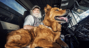 The Benefits of Having a Pet on the Road: Health, Wellness, and Companionship