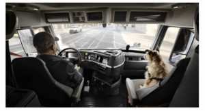Volvo and the Center for Pet Safety Team Up to Protect Drivers’ Pets
