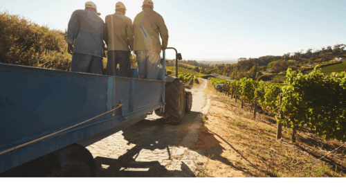 Learn how Kansas farm freight drivers can stay compliant with CFV exemptions, registration, size limits, permits, and safety laws. Includes details on hours of service, overweight permits, and securement rules.