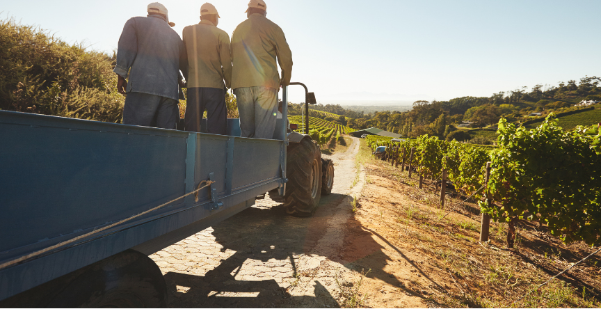 Learn how Kansas farm freight drivers can stay compliant with CFV exemptions, registration, size limits, permits, and safety laws. Includes details on hours of service, overweight permits, and securement rules.