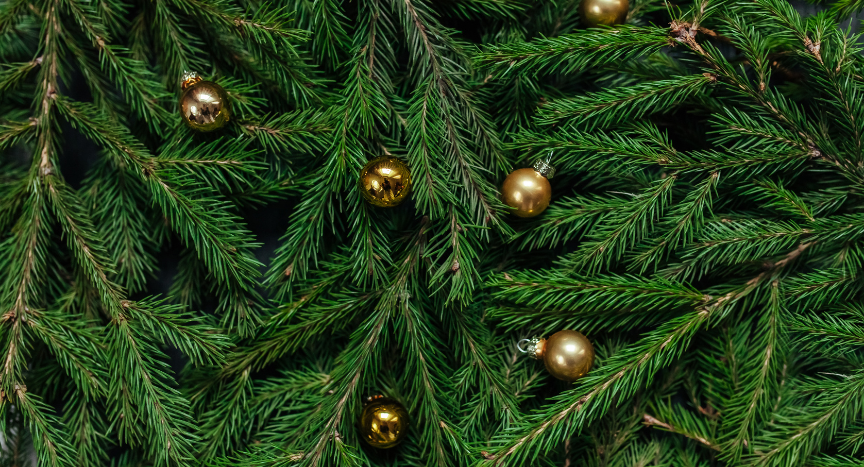 The 2026 Capitol Christmas Tree will travel from Idaho to Washington, D.C. Learn how this annual tradition highlights the trucking industry and the drivers behind the haul.