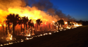 Oregon DOT Warns Wildfires Are Affecting Travel on State Highways