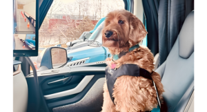 New Pet Safety Guide Offers Resources for Truck Drivers Traveling with Dogs and Cats