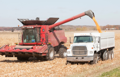 Discover why California, Iowa, Nebraska, Illinois, and Washington support some of the nation's largest agricultural freight networks and how processing, exports, and supply chains shape truck traffic.