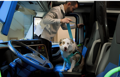 Volvo Trucks North America and the Center for Pet Safety have released a free guide with recommendations to help truck drivers travel more safely with dogs and cats.